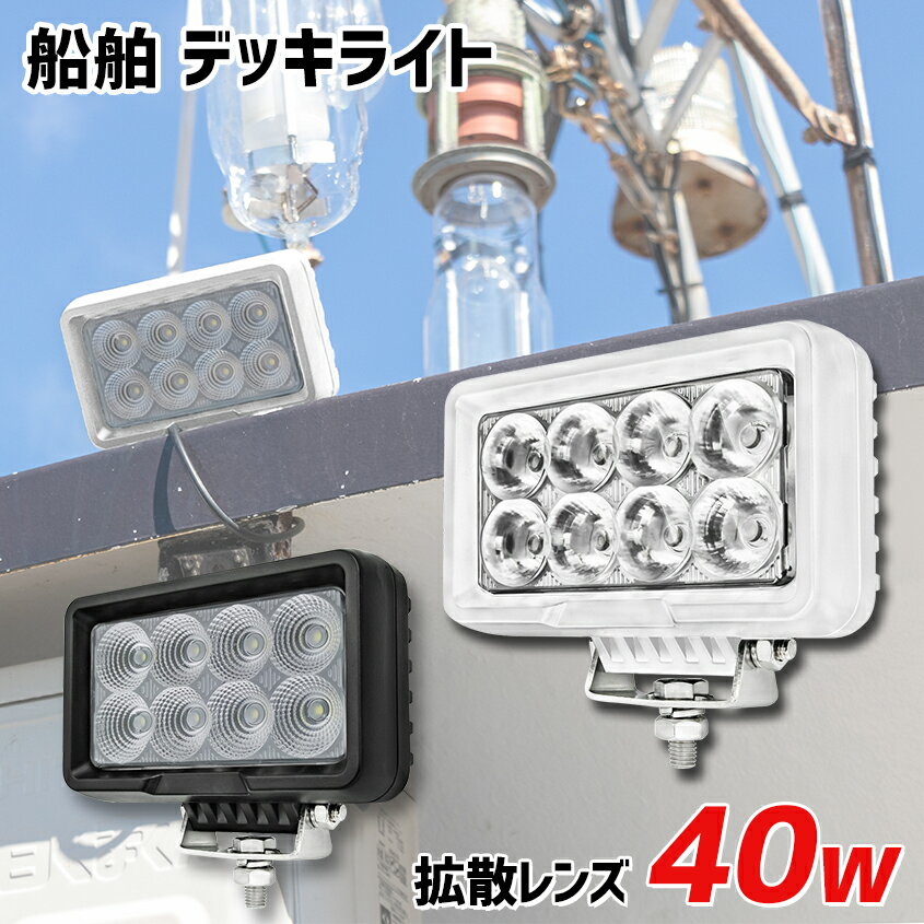 ハタヤ LED作業灯 20W交換球電球色ビームタイプ (1個) 品番：LDR20L-W60
