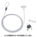eセキュリティ(SL31No.ランダム) ≪サンワサプライ≫ SLE-9S 【離島 発送不可】