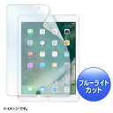 Apple 9.7インチiPad 2017用ブルーライトカット液晶保護指紋防止光沢フィルム ≪サンワサプライ≫ LCD-IPAD8BC 【離島 発送不可】