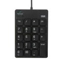 USBテンキー(Type-Cコネクタ・USB2.0ハブ付き) ≪サンワサプライ≫ NT-18CUHBK 【離島 発送不可】