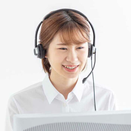 【売り切れ御免!数量限定特価!】 USBヘッドセット ≪サンワサプライ≫ MM-HSU20BK 【送料無料】【離島 発送不可】