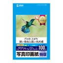 インクジェット写真印画紙(L判・フォト光沢・特厚・100枚) ≪サンワサプライ≫ JP-EP2NLN 【離島 発送不可】