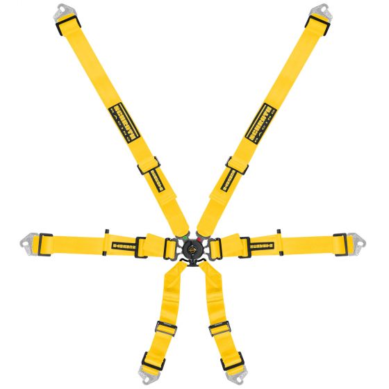 Schroth シュロス Flexi 2x2 ハーネス 【 サーキット レース シートベルト 内装パーツ 車 4輪 】