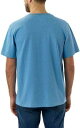 Carhartt カーハート Workwear Pocket Tシャツ カラー:アクア_ブルー