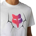 FOX フォックス Syz Premium Tシャツ カラー:ホワイト(2)