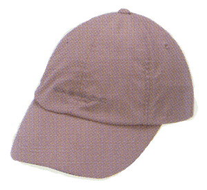 BugsAway　Canvas Hat（バグズアウェイ　キャンバス・ハット）　3951-0467【10P01Sep13】