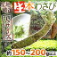 ”国産生本わさび” 約150〜200g以上 特大サイズ 1本 産地厳選（時期により約100g以上×2本）【予約 入荷次第発送】