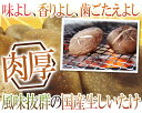 ”特大 ジャンボ生しいたけ” 約1kg 産地厳選【予約 入荷次第発送】 送料無料 2