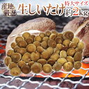 ”特大 ジャンボ生しいたけ” 約2kg 産地厳選【予約 入荷次第発送】 送料無料