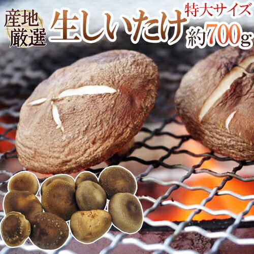 生産地 産地厳選（徳島・奈良・和歌山など） 内容量 約700g（生ものですので多少の前後はお許しください） 保存方法 冷暗所・冷蔵庫で保管し、なるべくお早目にお召し上がりください。 送料 送料900円（北海道は送料1,900円、沖縄県は送料2,900円頂戴いたします） 8箱まで同梱可能→1件分の送料で発送できます。 ※送料無料ライン対象商品について 常温配送の商品に限り、3,980円以上のご購入で送料無料！（沖縄県宛は9,800円以上のご購入で送料無料） 但し、1つにまとめて配送できない場合は、別途送料が必要となる場合がございます。 詳細はコチラをご確認ください。 発送予定日及びお届け日のご指定 ◆ 予約商品の場合 ◆ ※ 商品名に【予約】と記載されている商品が予約商品となります。 入荷開始後及び、入荷次第の発送となります。 現在まだ入荷が開始されていない商品につきましては商品タイトルに記載しております時期を目安にお考え下さい。 天候・入荷状況によってはお届け時期が大幅に前後する場合がございます。 また、予約商品についてはお届け日のご指定は不可となっております。 帰省や旅行等で、ご不在でお受け取りが出来ないお日にちがある場合は、ご注文の際にご都合の悪いお日にちを【ご要望欄】にご記入ください。 ご予定が変わった場合もその都度ご連絡いただければ、出来るだけ対応させていただきます。 お届け日の確定・お知らせは発送日当日となります。 どうぞご了承ください。 ◆ 通常商品の場合 ◆ ご注文受付後、1〜5営業日の出荷となります。 入荷状況によってはお待ちいただくこともございます。 なお、ご注文のタイミングによっては即日の発送となる場合もございますのでご都合の悪いお日にち等ございましたらご注文の際、【ご要望欄】にお書き頂きますようお願い申し上げます。 ご希望のお届け日がある場合は【ご要望欄】にその旨ご記入ください。 ※なるべく前もってのご注文をおすすめ致します。 入荷状況によってはご要望にお応えできない場合もございます。 その際は早めにご連絡させていただきます。 配送方法 ヤマト運輸【しいたけ】【シイタケ】【椎茸】【菌床栽培】【鍋用】