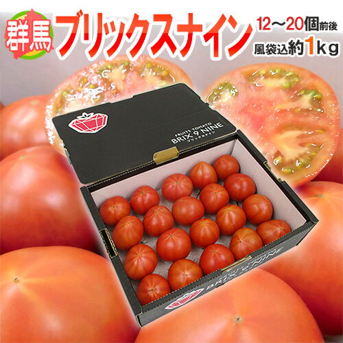 群馬県産 ”ブリックスナイン” 12～20玉前後 風袋込約1kg 化粧箱 トマト【予約 2月以降】 送料無料