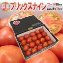 群馬県産 ”ブリックスナイン” 12〜20玉前後 約1kg 化粧箱 トマト【予約 2月以降】 送料無 ...