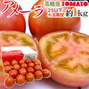 静岡県 ”高糖度フルーツトマト アメーラ