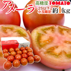 静岡県 ”高糖度フルーツトマト アメーラ” 2S以下 小玉限定 約1kg 化粧箱入り