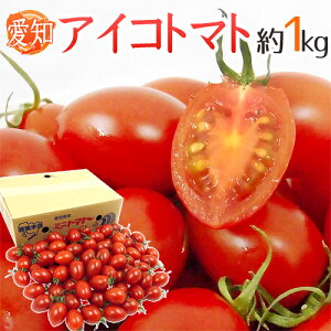 愛知県産 ”アイコトマト” 秀品 約1kg【予約 11月下旬以降】