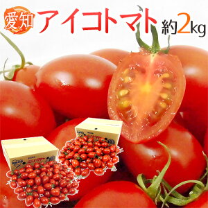 愛知県産 ”アイコトマト” 秀品 約2kg【予約 11月下旬以降】 送料無料
