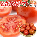 高知県夜須産 高糖度 夜須のフルーツトマト ”とさかみトマト” 約1kg 訳あり・ご家庭用【予約 11月下旬以降】
