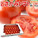 【送料無料】高知県夜須産 高糖度 夜須のフルーツトマト ”とさかみトマト” 約3kg 秀品 化粧箱【予約 11月下旬以降】