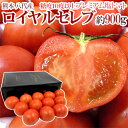 【エントリーで200Pプレゼント】【送料無料】熊本産 塩トマト ”ロイヤルセレブ” 約900g 化粧箱 糖度10度以上【予約 2月中旬以降】