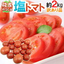 【送料無料】熊本県やつしろ産 訳あり ”塩トマト” 約2kg あの「ロイヤルセレブ」「太陽の子セレブ」と同じ塩トマトがお買い得価格♪(入荷次第発送)【楽ギフ_のし宛書】 - くらし快援隊