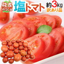 【送料無料】熊本県やつしろ産 訳あり ”塩トマト” 約3kg あの「ロイヤルセレブ」「太陽の子セレブ」と同じ塩トマトがお買い得価格♪(入荷次第発送)【楽ギフ_のし宛書】 - くらし快援隊