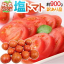 熊本県やつしろ産 訳あり ”塩トマト” 約900g あの「ロイヤルセレブ」「太陽の子セレブ」と同じ塩トマトがお買い得価格♪(入荷次第発送)【楽ギフ_のし宛書】 - くらし快援隊