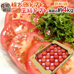 https://thumbnail.image.rakuten.co.jp/@0_mall/auc-kurashi-kaientai/cabinet/1006tomato/048-4kgw01.jpg