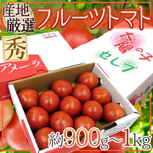 ”フルーツトマト” 約900g〜1kg 3箱