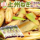 【9/15限定!全額ポイントバックの大チャンス】群馬県 ”上州ねぎ” 6束前後 約2.5kg【予約 11月末以降】