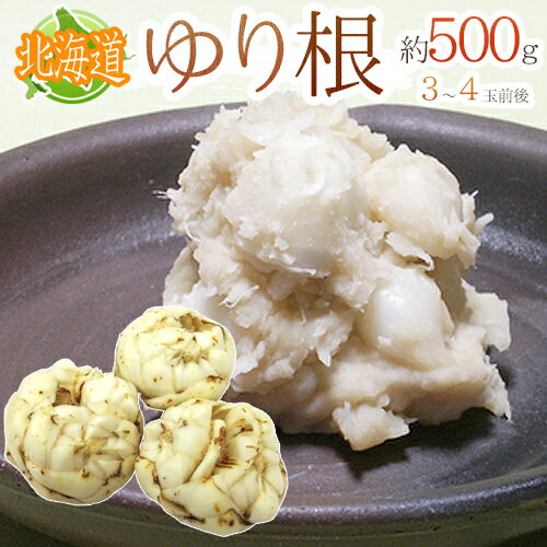 ”北海道産 ゆり根” ちょっと訳あり 3〜4玉 約500g ゆりね【予約 11月下旬以降】