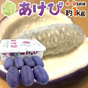 楽天市場人気商品