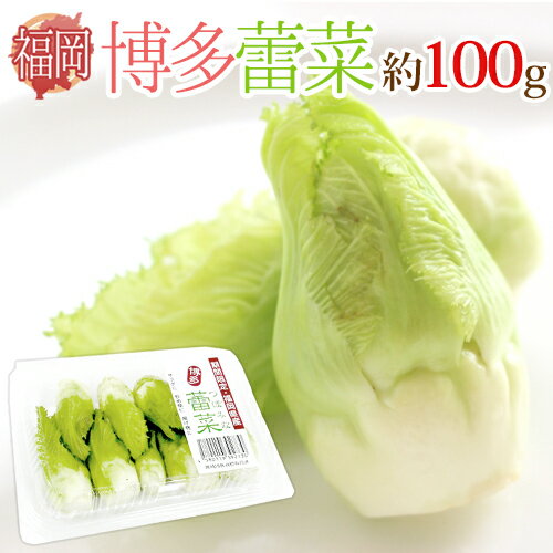 福岡県 ”博多蕾菜（はかたつぼみな）” 約100g 大きさおまかせ 山菜【予約 2月以降】のサムネイル