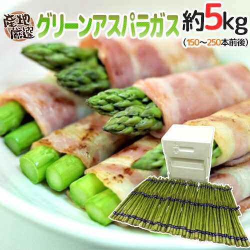 ”グリーンアスパラガス” 150〜250本前後 約5kg /北海道/長野/広島/佐賀/福岡 など産地厳選【予約 3月末以降】 送料無料