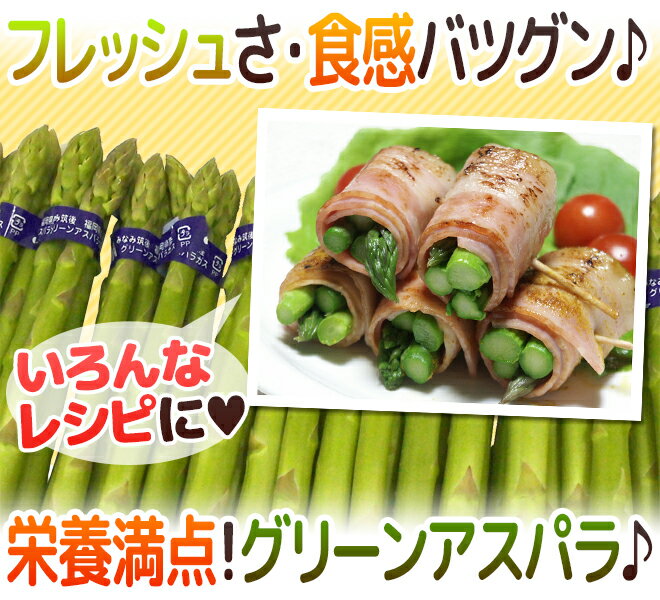 ”グリーンアスパラガス” 150〜250本前後 約5kg /北海道/長野/広島/佐賀/福岡 など産地厳選【予約 3月末以降】 送料無料