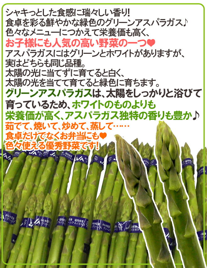 【ふるさと納税】定期便 3ヶ月 訳あり しいたけ 佐賀県産 箱生しいたけ 約800g 訳アリ 椎茸 きのこ 3回 お楽しみ