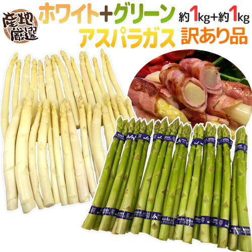 楽天くらし快援隊〜母の日父の日お中元”グリーン＋ホワイトアスパラガスセット” 訳あり 約1kg＋約1kg（計約2kg）北海道/長野/広島/佐賀/福岡 など産地厳選【予約 7月末以降】 送料無料