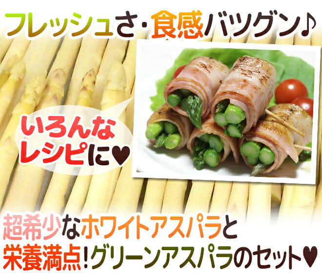 ”グリーン＋ホワイトアスパラガスセット” 訳あり 約1kg＋約1kg（計約2kg）北海道/長野/広島/佐賀/福岡 など産地厳選【予約 7月末以降】 送料無料