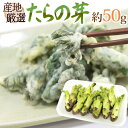 ”たらの芽 タラノメ ” 約50g 大きさおまかせ 山菜【予約 2月以降】