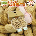 静岡県産 JAとぴあ浜松 ”ジャンボなま落花生(おおまさり)” 約500g×2袋(約1kg)【予約 入荷次第発送】 送料無料