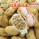 静岡県産 JAとぴあ浜松 ”ジャンボなま落花生(おおまさり)” 約500g【予約 入荷次第発送】 送料無料
