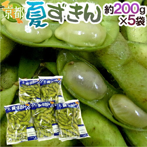 京都・丹波の黒豆 ”夏ずきん” 秀品 約200g×《5袋》（約1kg） 早生黒豆 枝豆【予約 8月以降】 送料無料