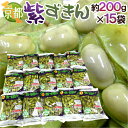 京都・丹波の黒豆 ”紫ずきん” 秀品 約200g×15pc(約3kg)【予約 9月中旬以降】 送料無料