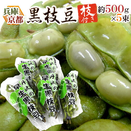 生産地 兵庫丹波 京都丹波 内容量 約500g×5pc（生ものですので多少の前後はお許しください） 等級・サイズ 秀品 保存方法 冷蔵庫で保管し、なるべくお早目にお召し上がりください。 送料 送料無料（北海道は送料1,000円、沖縄県は送料2,000円頂戴いたします） ※送料無料ライン対象商品について 常温配送の商品に限り、3,980円以上のご購入で送料無料！（沖縄県宛は9,800円以上のご購入で送料無料） 但し、1つにまとめて配送できない場合は、別途送料が必要となる場合がございます。 詳細はコチラをご確認ください。 発送予定日及びお届け日のご指定 ◆ 予約商品の場合 ◆ ※ 商品名に【予約】と記載されている商品が予約商品となります。 入荷開始後及び、入荷次第の発送となります。 現在まだ入荷が開始されていない商品につきましては商品タイトルに記載しております時期を目安にお考え下さい。 天候・入荷状況によってはお届け時期が大幅に前後する場合がございます。 また、予約商品についてはお届け日のご指定は不可となっております。 帰省や旅行等で、ご不在でお受け取りが出来ないお日にちがある場合は、ご注文の際にご都合の悪いお日にちを【ご要望欄】にご記入ください。 ご予定が変わった場合もその都度ご連絡いただければ、出来るだけ対応させていただきます。 お届け日の確定・お知らせは発送日当日となります。 どうぞご了承ください。 ◆ 通常商品の場合 ◆ ご注文受付後、1〜5営業日の出荷となります。 入荷状況によってはお待ちいただくこともございます。 なお、ご注文のタイミングによっては即日の発送となる場合もございますのでご都合の悪いお日にち等ございましたらご注文の際、【ご要望欄】にお書き頂きますようお願い申し上げます。 ご希望のお届け日がある場合は【ご要望欄】にその旨ご記入ください。 ※なるべく前もってのご注文をおすすめ致します。 入荷状況によってはご要望にお応えできない場合もございます。 その際は早めにご連絡させていただきます。 配送方法 ヤマト運輸【枝豆】【えだまめ】【エダマメ】【EDAMAME】【兵庫】【丹波黒豆】【早生黒】【丹波篠山】【国産】【ギフト】