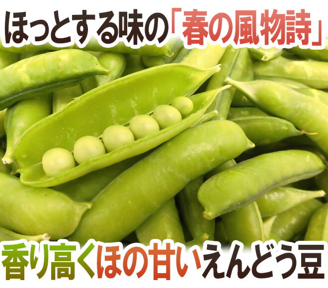 紀州・和歌山 ”うすいえんどう” 秀品 約1kg バラ詰め【予約 3月中下旬以降】 送料無料 2