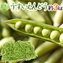 【冷凍】北海道産 グリーンピース 500g | リゾット ピラフ スープ 国産 業務用 大容量