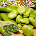 九州・和歌山産他 ”一寸豆（そら豆）” Mサイズ 約2kg 送料無料