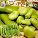 紀州・和歌山 ”うすいえんどう” 秀品 約3kg バラ詰め【予約 3月中下旬以降】 送料無料