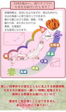 【送料無料】国内産限定！ ”にんじん” 訳あり 約10kg 産地おまかせ 人参