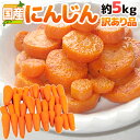 国内産限定! ”にんじん” 訳あり 約5kg 産地おまかせ 人参