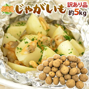 北海道産 ”じゃがいも” 訳あり 約5kg 大きさおまかせ【予約 入荷次第発送】 送料無料